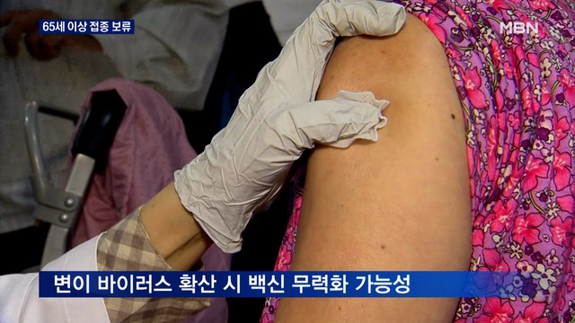 [백신] 65세 이상 접종 보류…11월 집단면역 차질 우려