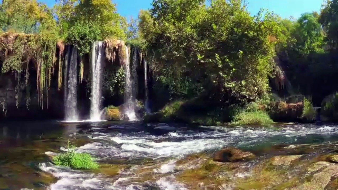 relax