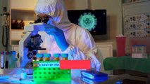 Scientists Detect Seven Coronavirus Variants In U S  With Similar