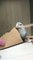 Birdie Sharpens Her Beak on Piece of Paper