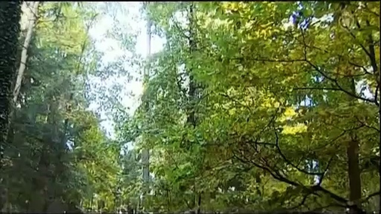 Sturm der Liebe, Folge 742 5/5