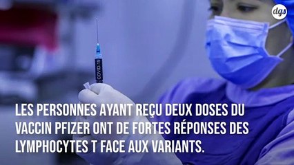 Covid-19 : le vaccin Pfizer engendre une forte réponse immunitaire face aux nouveaux variants