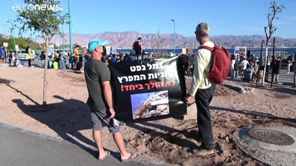 نشطاء يحذرون من تهديد اتفاق نفطي إماراتي إسرائيلي لمرجان البحر الأحمر