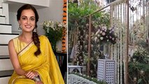 Inside Dia Mirza's Wedding Venue