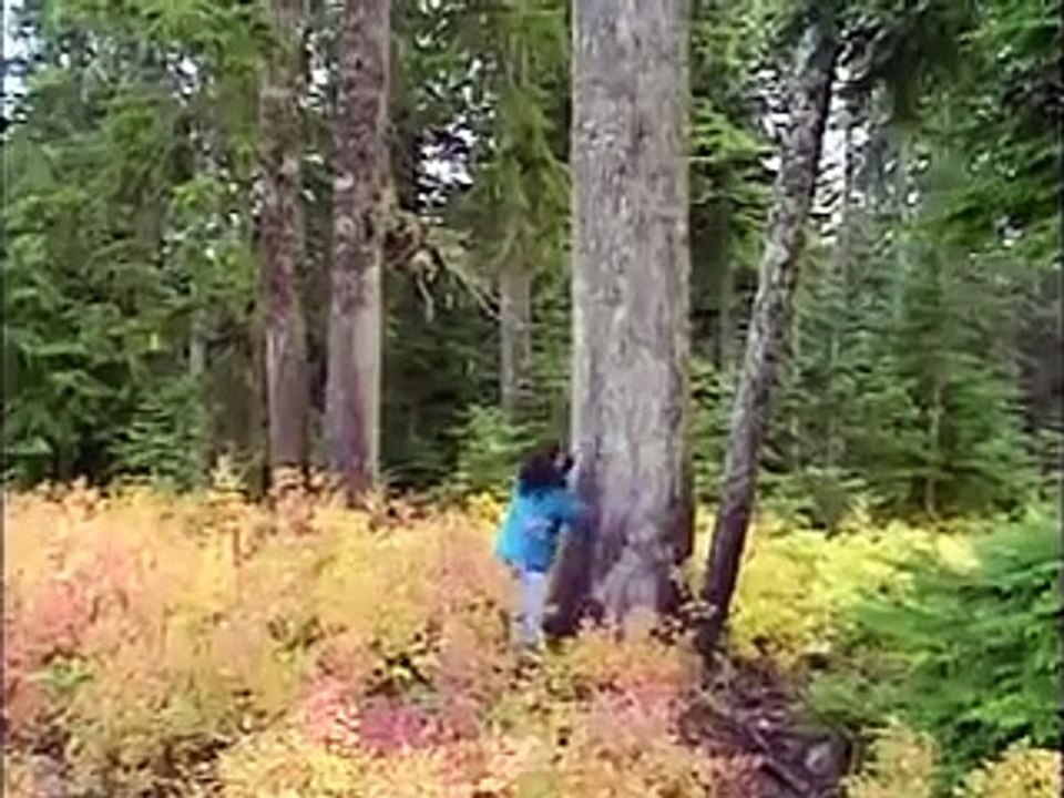 Bill Nye the Science Guy - S03E10 Climates