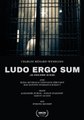 Ludo ergo sum