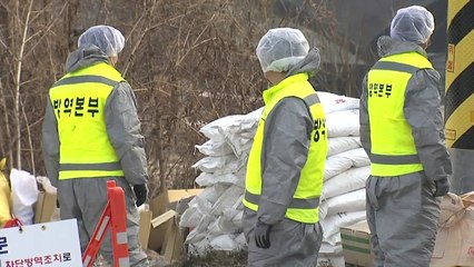 AI 감소 추세...예방적 매몰처분 3km→1km 완화 / YTN