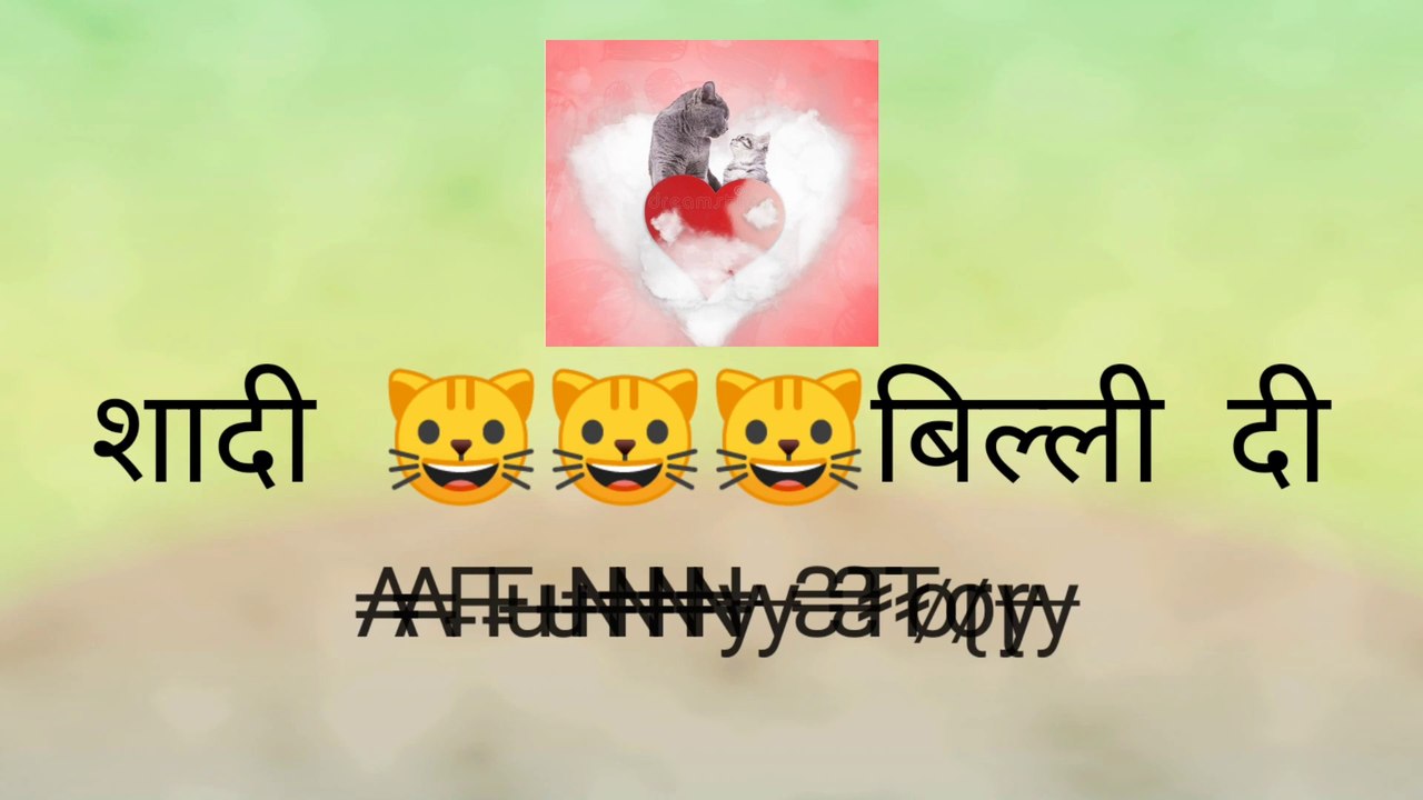 Shaadi billi di  || Story || funny story ||  story in hindi ||  kahani