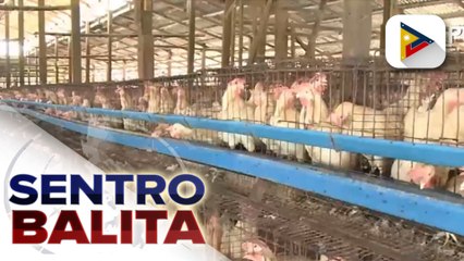 Strain ng bird flu na nakakahawa sa tao, mahigpit na binabantayan ng BAI