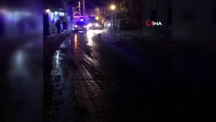 Zonguldak'ta kopan elektrik tellerine değen 2 köpek öldü