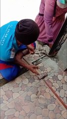 Saving a Kitten Stuck in Drain Pipe