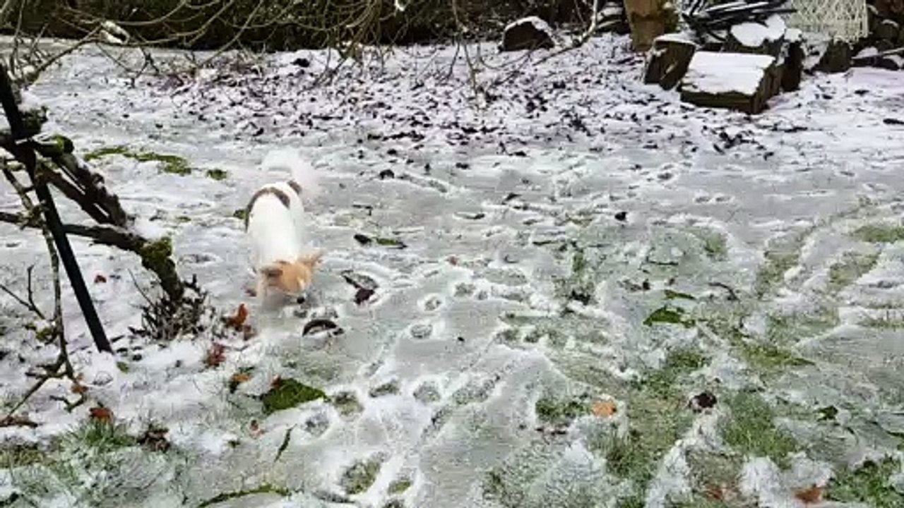 Jardin tout glacé suite