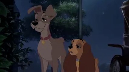 Disney's Lady•And-The•Tramo 0II - An Part 003
