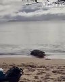 Regardez qui vient rendre une visite à ces pecheurs sur la plage