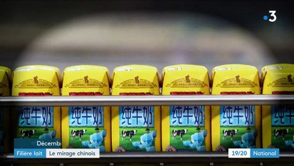 Commerce : le mirage chinois pour la filière laitière