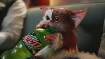 Gremlins 2021 : Zach Galligan Reunites With Gizmo for Mountain Dew