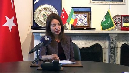 Büyükelçi Yaprak Alp'den Türk yatırımcılara tavsiyeler