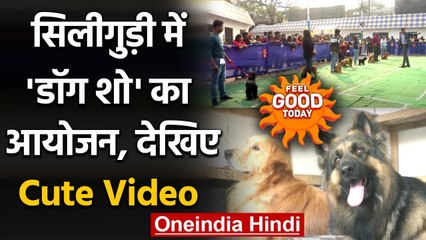 West Bangal: Siliguri में Dog Show का आयोजन, उत्साहित दिखे डॉग प्रेमी, देखें Video | वनइंडिया हिंदी