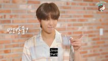 BTS DREAM INTERVIEW [ Army Mebership ]