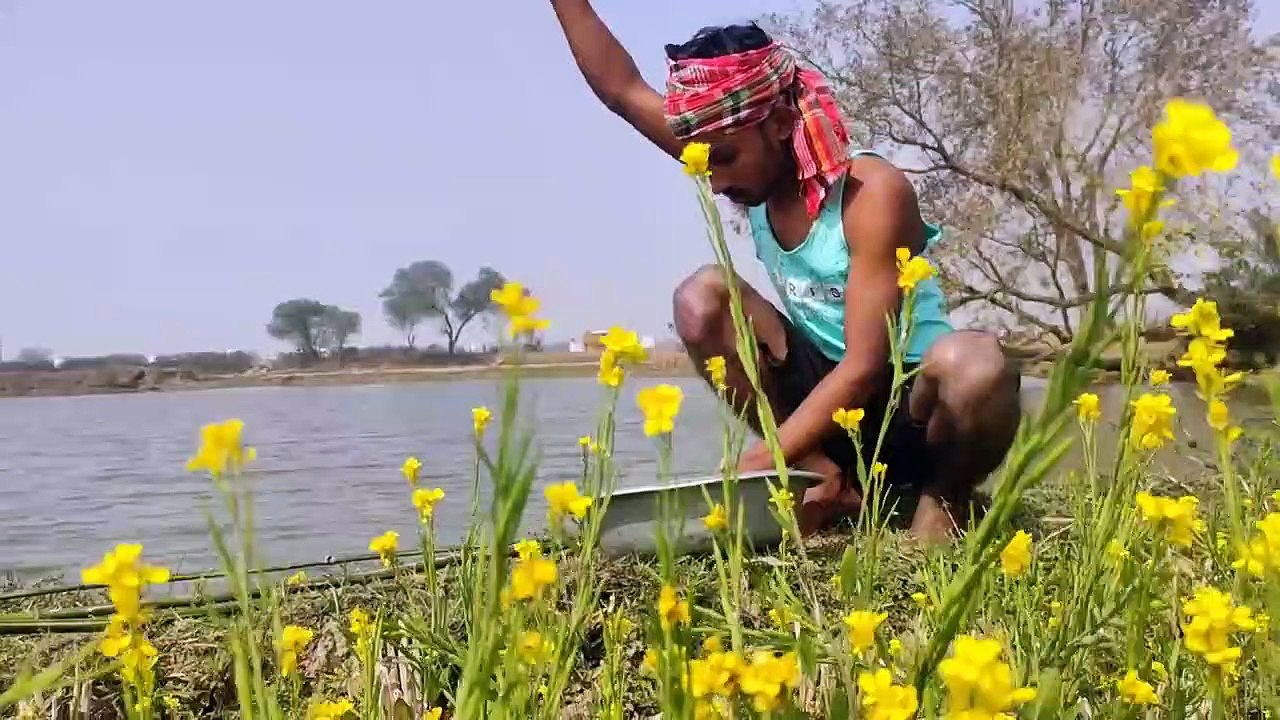 Unbelievable Monster Fishing _ Best Fish Trap Video Intelligent Boy _Amazing Catching Technique Pond | CreativeVilla.