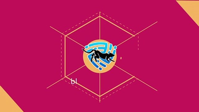 X-Logo Red color 5302 use