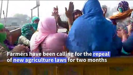 Milk and food: Indian villages support protesting farmers