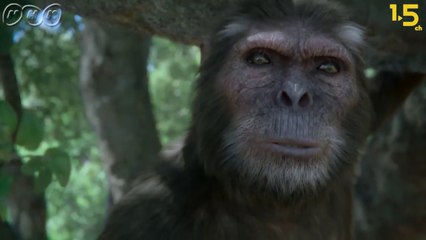 Creatures, 50,000 years ago Part1