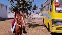 कहीं घोड़े पर स्कूल पहुंचा बच्चा तो कहीं कंकाल से बनाया गिटार, सोशल मीडिया पर वायरल हुए मजेदार वीडियो