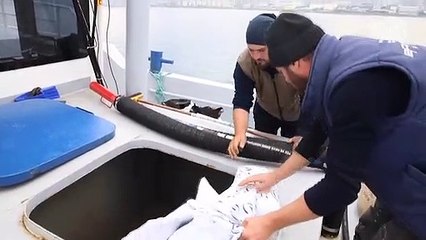 Karadeniz somonu Japon sofralarına 'suşi' olarak girdi