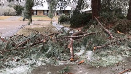 A Louisiana winter wonderland