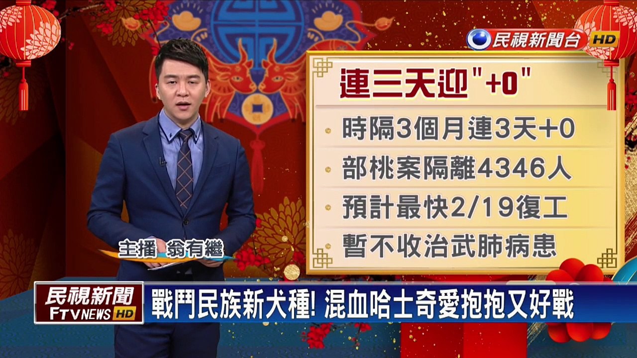 愛抱抱又好戰！ 混血哈士奇愛抱抱又好戰