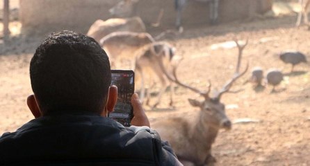 Türkiye’nin ilk ve tek safari parkına yoğun ilgi
