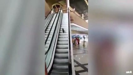 Sevimli kedinin yürüyen merdiven keyfi kamerada