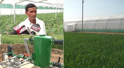 राजस्थान : दौसा का किसान कजोड़मल छह साल में बन गया करोड़पति, जानिए खेती में कौनसी तकनीक अपनाई?