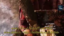 The Imam Ahmad Ibn Hanbal (R.A) Season 1: Episode 14 With Urdu Subtitles