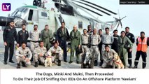 Indian Navy Simulates Bomb Threat Exercise, Sniffer Dogs Slither Down From Chopper, Watch