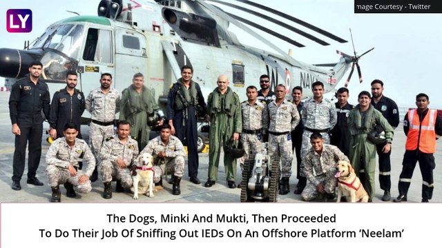Indian Navy Simulates Bomb Threat Exercise, Sniffer Dogs Slither Down From Chopper, Watch