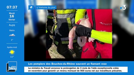 La matinale de France Bleu Provence du 16/02/2021