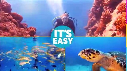 Go Dive Now with Ocean Enterprises