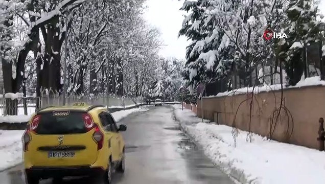 Kar yağışına dayanamayan ağaçlar kırıldı