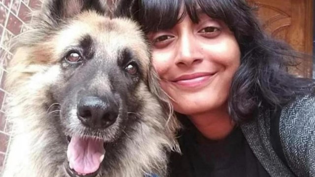 What is toolkit that has brought activists under lens?