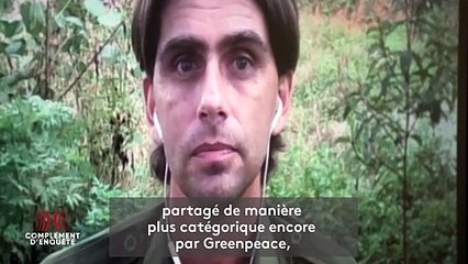 Les producteurs d'huile de palme labellisée par le WWF ont-ils vraiment cessé de ravager la forêt primaire ?