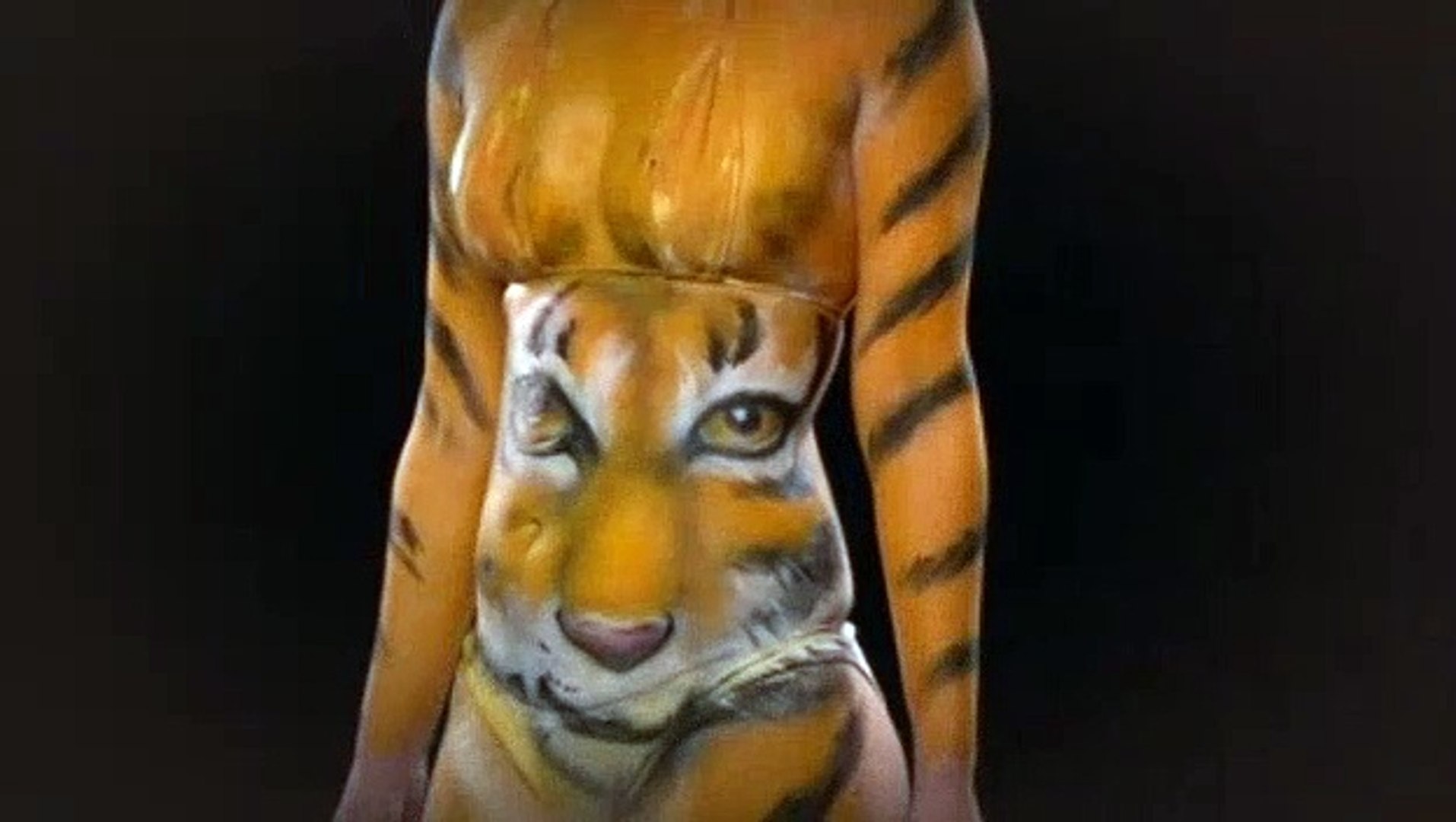 Ink Master S03e06 Animal Instinct Dailymotion Video