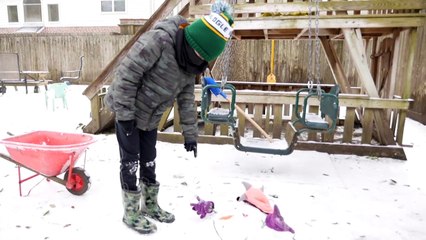 Vague de froid aux USA: le Texas se réveille sous la neige