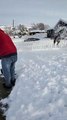 Doggie Does Flips Trying to Catch Flying Snow