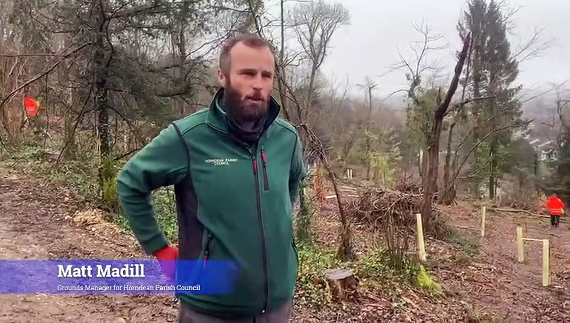 ⁣Trees being planted at scene of diseased trees