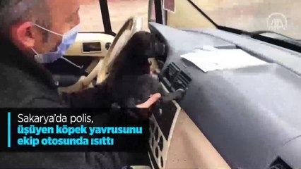 Üşüyen köpek yavrusunu Sakarya polisi ısıttı