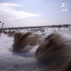 Etats-Unis: Du Texas au Mississippi, une vague de froid historique traverse le pays