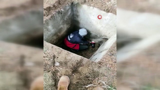 -	Rögarda mahsur kalan yavru köpek kurtarıldı