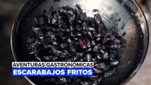 Aventuras gastronómicas: escarabajos